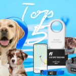 Cinco perros con rastreadores GPS y letras que dicen 'Top 5' sobre un fondo azul, destacando los mejores rastreadores GPS para mascotas.